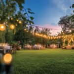 Party-Lawn-TVS-Emerald-Auralis